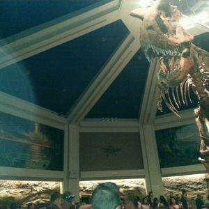 Meet your Posher, Zoefresh